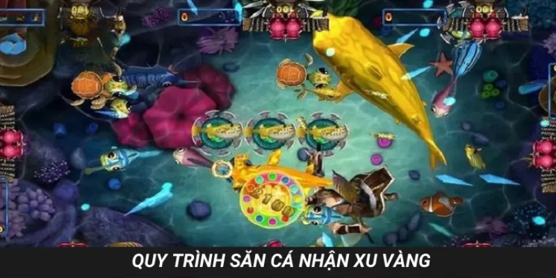 Quy trình săn cá nhận xu vàng