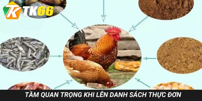 Tầm quan trọng khi lên thực ăn cho gà đá sung
