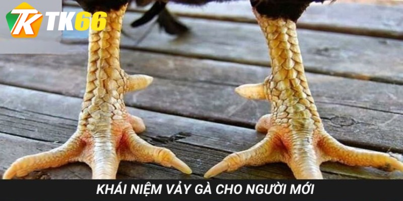 Tìm hiểu về ý niệm những chiếc giáp hùng mãnh dưới cựa