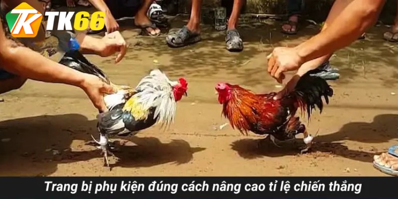 Trang bị phụ kiện đúng cách nâng cao tỉ lệ chiến thắng