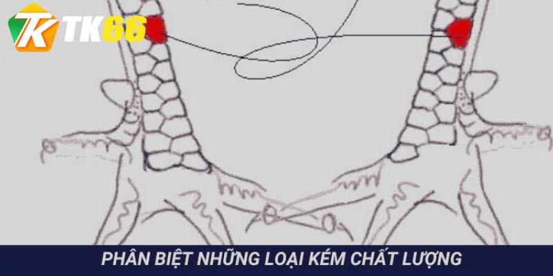 Tránh xa những thể loại không đáng để sử dụng